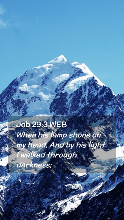 Picture 02 - Job 29:3 WEB Mobile Phone Wallpaper - When his lamp shone on my head, And by his light - Mobile Bible Verse Wallpaper