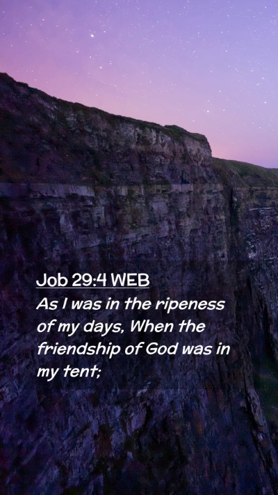 Picture 02 - Job 29:4 WEB Mobile Phone Wallpaper - As I was in the ripeness of my days, When the - Mobile Bible Verse Wallpaper