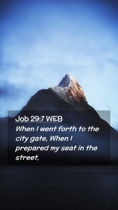 Picture 02 - Job 29:7 WEB Mobile Phone Wallpaper - When I went forth to the city gate, When I - Mobile Bible Verse Wallpaper