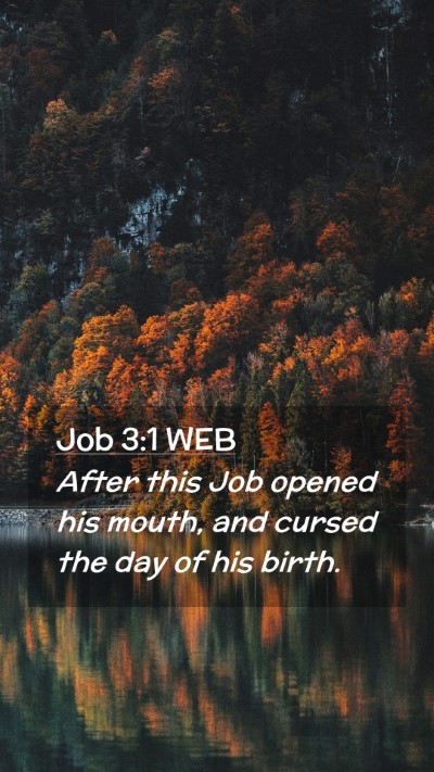 Picture 02 - Job 3:1 WEB Mobile Phone Wallpaper - After this Job opened his mouth, and cursed the - Mobile Bible Verse Wallpaper