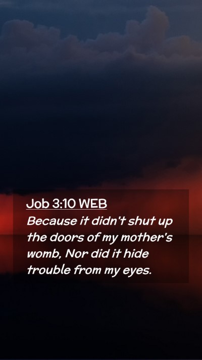 Picture 02 - Job 3:10 WEB Mobile Phone Wallpaper - Because it didn't shut up the doors of my - Mobile Bible Verse Wallpaper