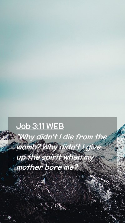 Picture 02 - Job 3:11 WEB Mobile Phone Wallpaper - 