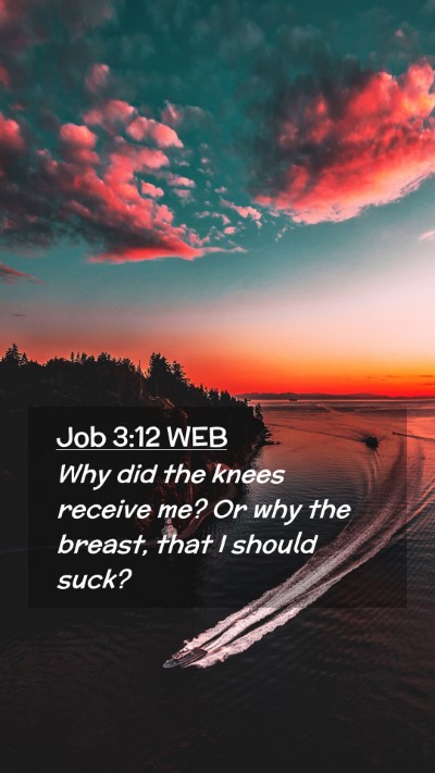 Picture 02 - Job 3:12 WEB Mobile Phone Wallpaper - Why did the knees receive me? Or why the breast, - Mobile Bible Verse Wallpaper
