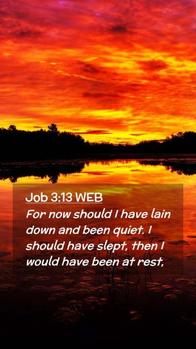 Picture 02 - Job 3:13 WEB Mobile Phone Wallpaper - For now should I have lain down and been quiet. I - Mobile Bible Verse Wallpaper