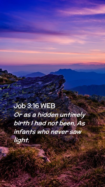 Picture 02 - Job 3:16 WEB Mobile Phone Wallpaper - Or as a hidden untimely birth I had not been, As - Mobile Bible Verse Wallpaper