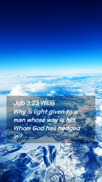 Picture 02 - Job 3:23 WEB Mobile Phone Wallpaper - Why is light given to a man whose way is hid, - Mobile Bible Verse Wallpaper