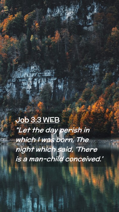 Picture 02 - Job 3:3 WEB Mobile Phone Wallpaper - 