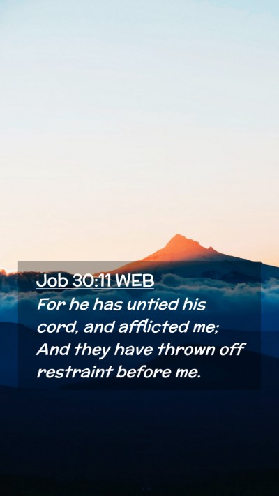 Picture 02 - Job 30:11 WEB Mobile Phone Wallpaper - For he has untied his cord, and afflicted me; And - Mobile Bible Verse Wallpaper