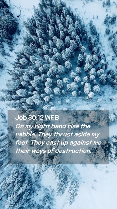 Picture 02 - Job 30:12 WEB Mobile Phone Wallpaper - On my right hand rise the rabble. They thrust - Mobile Bible Verse Wallpaper