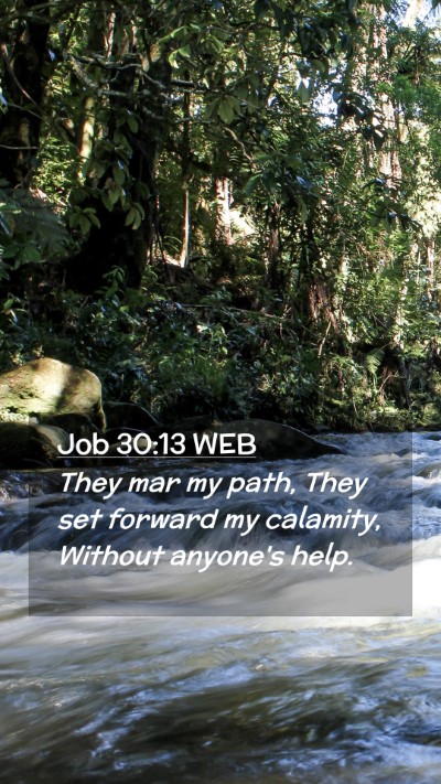 Picture 02 - Job 30:13 WEB Mobile Phone Wallpaper - They mar my path, They set forward my calamity, - Mobile Bible Verse Wallpaper