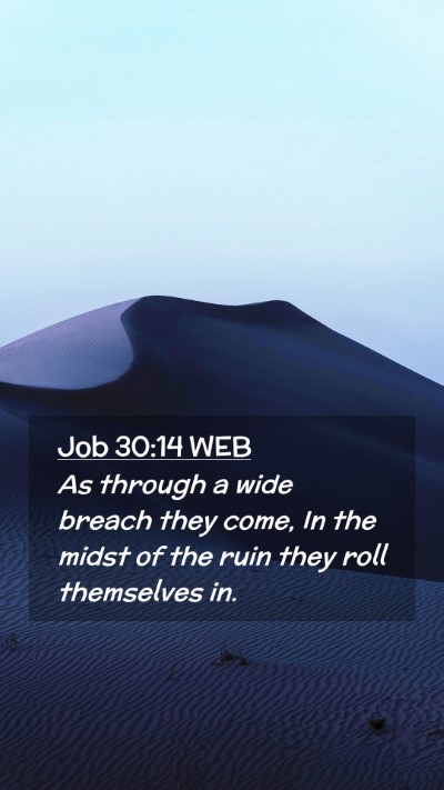 Picture 02 - Job 30:14 WEB Mobile Phone Wallpaper - As through a wide breach they come, In the midst - Mobile Bible Verse Wallpaper
