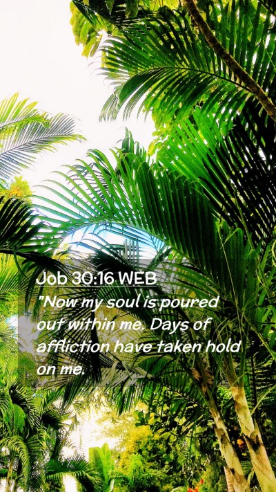 Picture 02 - Job 30:16 WEB Mobile Phone Wallpaper - 