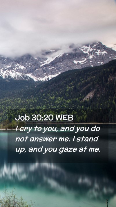 Picture 02 - Job 30:20 WEB Mobile Phone Wallpaper - I cry to you, and you do not answer me. I stand - Mobile Bible Verse Wallpaper