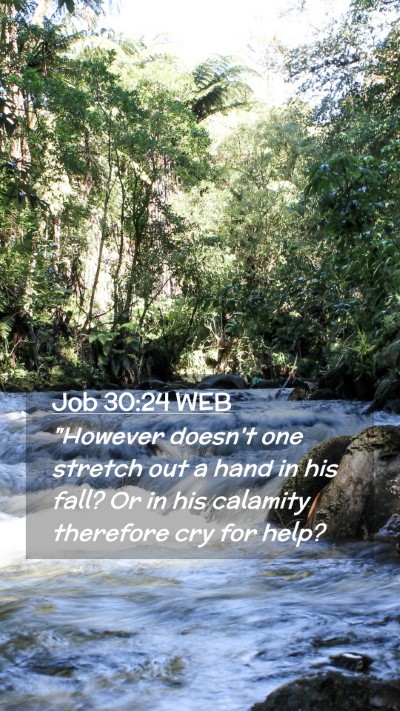 Picture 02 - Job 30:24 WEB Mobile Phone Wallpaper - 
