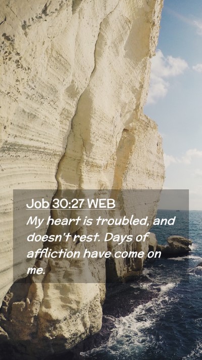 Picture 02 - Job 30:27 WEB Mobile Phone Wallpaper - My heart is troubled, and doesn't rest. Days of - Mobile Bible Verse Wallpaper