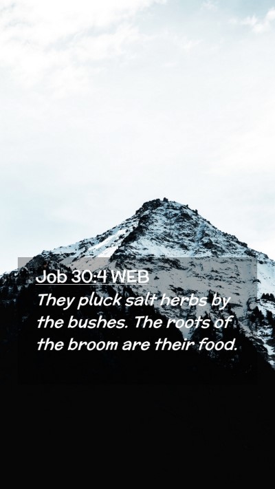 Picture 02 - Job 30:4 WEB Mobile Phone Wallpaper - They pluck salt herbs by the bushes. The roots of - Mobile Bible Verse Wallpaper