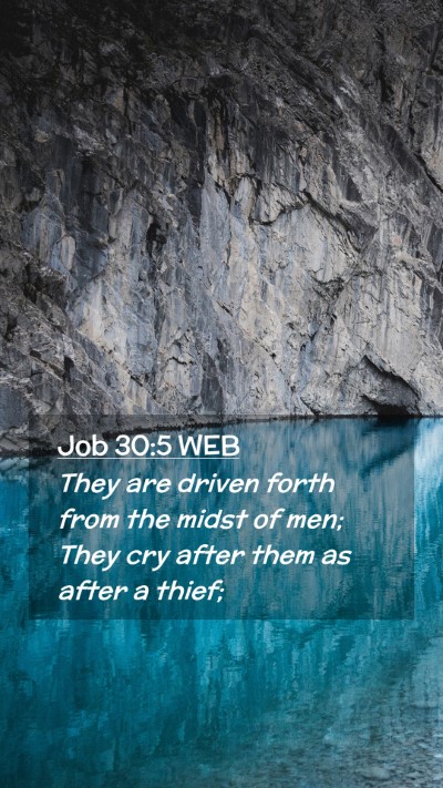 Picture 02 - Job 30:5 WEB Mobile Phone Wallpaper - They are driven forth from the midst of men; They - Mobile Bible Verse Wallpaper