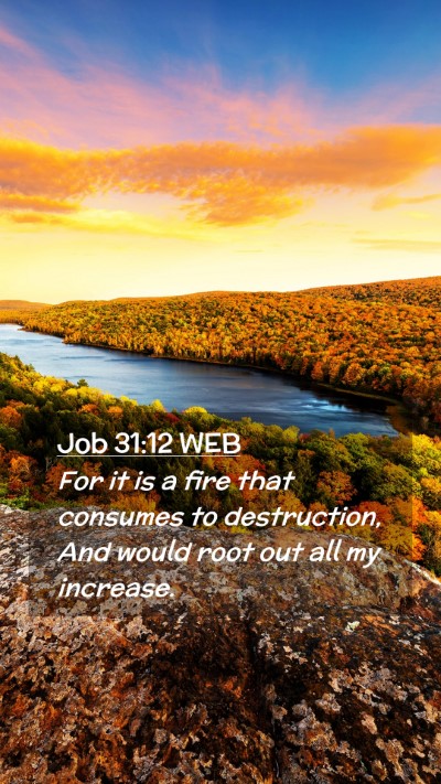 Picture 02 - Job 31:12 WEB Mobile Phone Wallpaper - For it is a fire that consumes to destruction, - Mobile Bible Verse Wallpaper