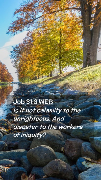 Picture 02 - Job 31:3 WEB Mobile Phone Wallpaper - Is it not calamity to the unrighteous, And - Mobile Bible Verse Wallpaper
