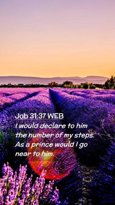 Picture 02 - Job 31:37 WEB Mobile Phone Wallpaper - I would declare to him the number of my steps. As - Mobile Bible Verse Wallpaper