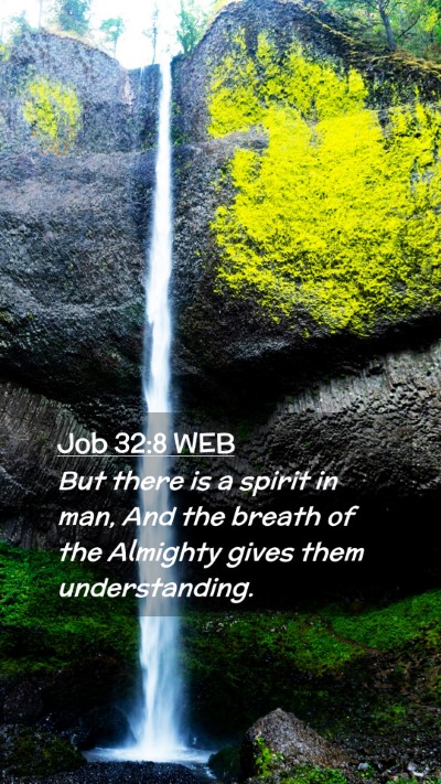 Picture 02 - Job 32:8 WEB Mobile Phone Wallpaper - But there is a spirit in man, And the breath of - Mobile Bible Verse Wallpaper