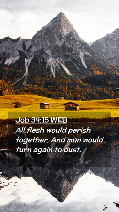 Picture 02 - Job 34:15 WEB Mobile Phone Wallpaper - All flesh would perish together, And man would - Mobile Bible Verse Wallpaper