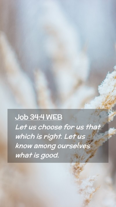 Picture 02 - Job 34:4 WEB Mobile Phone Wallpaper - Let us choose for us that which is right. Let us - Mobile Bible Verse Wallpaper