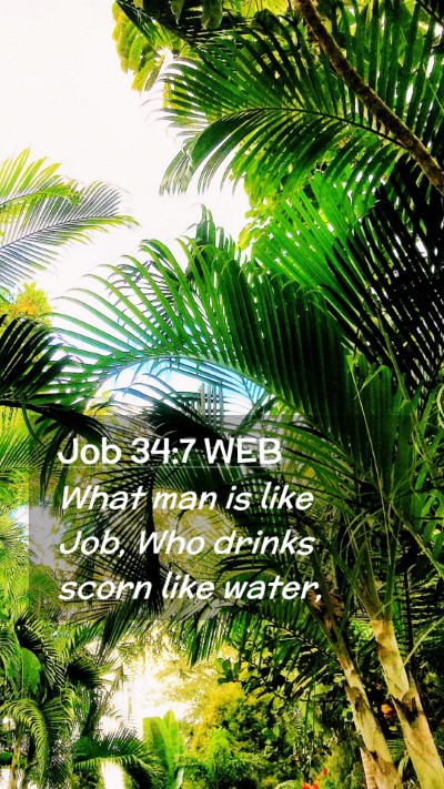 Picture 02 - Job 34:7 WEB Mobile Phone Wallpaper - What man is like Job, Who drinks scorn like - Mobile Bible Verse Wallpaper