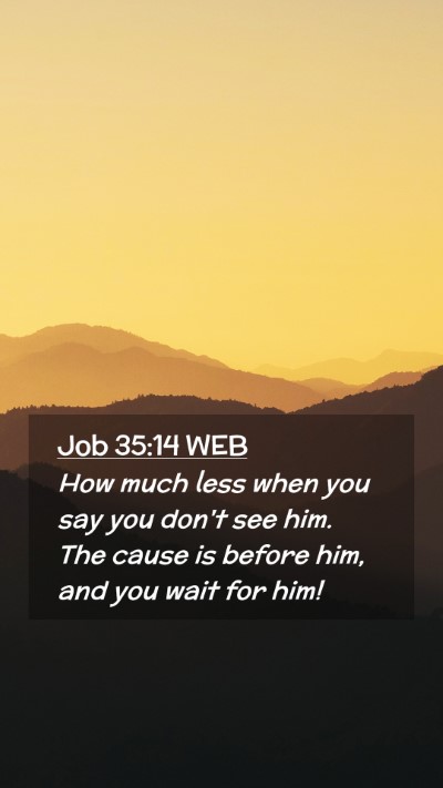 Picture 02 - Job 35:14 WEB Mobile Phone Wallpaper - How much less when you say you don't see him. The - Mobile Bible Verse Wallpaper
