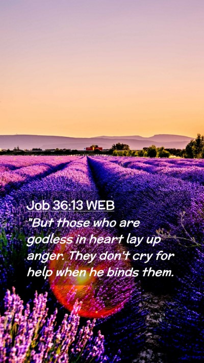 Picture 02 - Job 36:13 WEB Mobile Phone Wallpaper - 