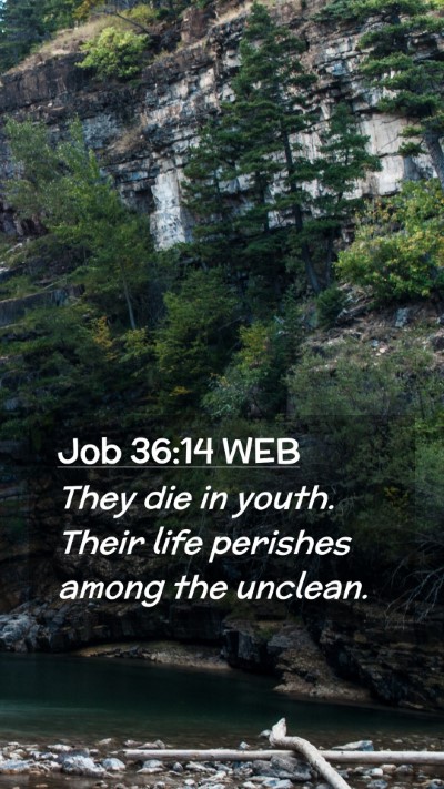Picture 02 - Job 36:14 WEB Mobile Phone Wallpaper - They die in youth. Their life perishes among the - Mobile Bible Verse Wallpaper