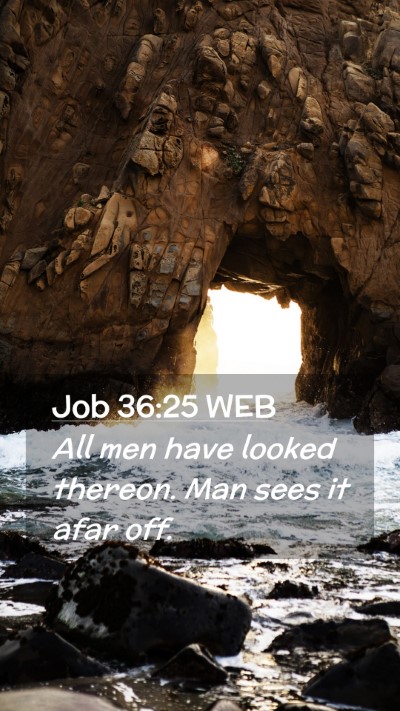 Picture 02 - Job 36:25 WEB Mobile Phone Wallpaper - All men have looked thereon. Man sees it afar - Mobile Bible Verse Wallpaper