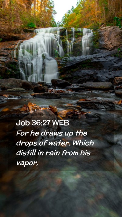 Picture 02 - Job 36:27 WEB Mobile Phone Wallpaper - For he draws up the drops of water, Which distill - Mobile Bible Verse Wallpaper