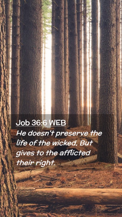Picture 02 - Job 36:6 WEB Mobile Phone Wallpaper - He doesn't preserve the life of the wicked, But - Mobile Bible Verse Wallpaper