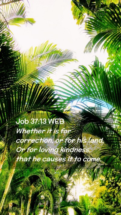 Picture 02 - Job 37:13 WEB Mobile Phone Wallpaper - Whether it is for correction, or for his land, Or - Mobile Bible Verse Wallpaper