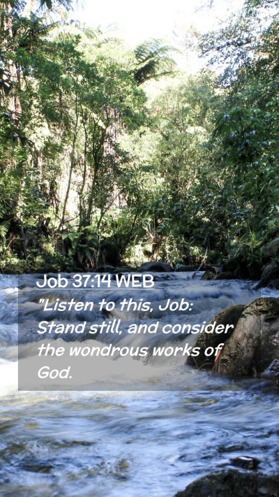 Picture 02 - Job 37:14 WEB Mobile Phone Wallpaper - 