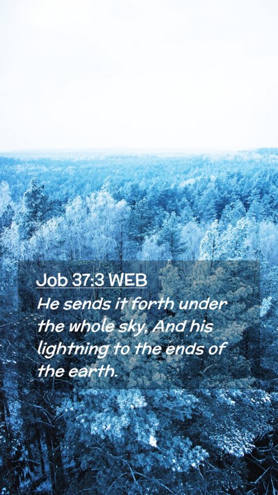 Picture 02 - Job 37:3 WEB Mobile Phone Wallpaper - He sends it forth under the whole sky, And his - Mobile Bible Verse Wallpaper