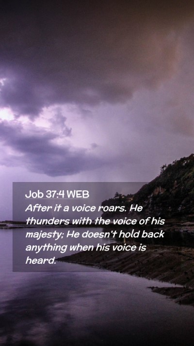 Picture 02 - Job 37:4 WEB Mobile Phone Wallpaper - After it a voice roars. He thunders with the - Mobile Bible Verse Wallpaper