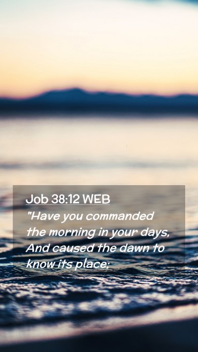 Picture 02 - Job 38:12 WEB Mobile Phone Wallpaper - 