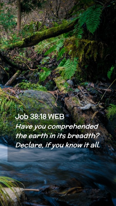 Picture 02 - Job 38:18 WEB Mobile Phone Wallpaper - Have you comprehended the earth in its breadth? - Mobile Bible Verse Wallpaper