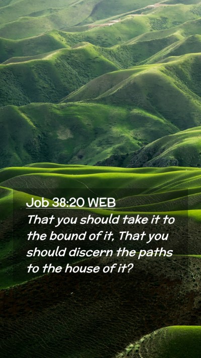 Picture 02 - Job 38:20 WEB Mobile Phone Wallpaper - That you should take it to the bound of it, That - Mobile Bible Verse Wallpaper