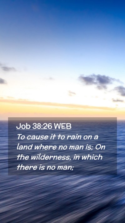 Picture 02 - Job 38:26 WEB Mobile Phone Wallpaper - To cause it to rain on a land where no man is; On - Mobile Bible Verse Wallpaper