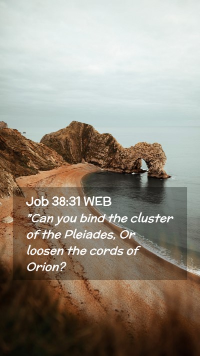 Picture 02 - Job 38:31 WEB Mobile Phone Wallpaper - 