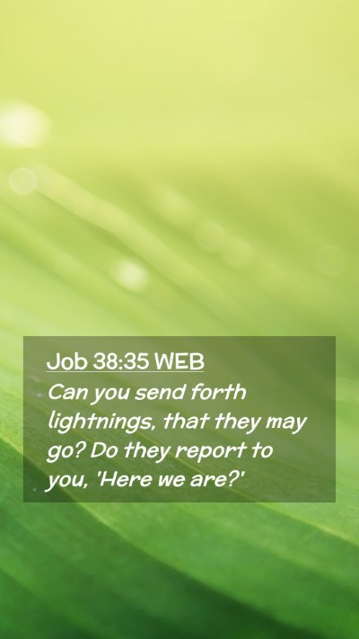 Picture 02 - Job 38:35 WEB Mobile Phone Wallpaper - Can you send forth lightnings, that they may go? - Mobile Bible Verse Wallpaper