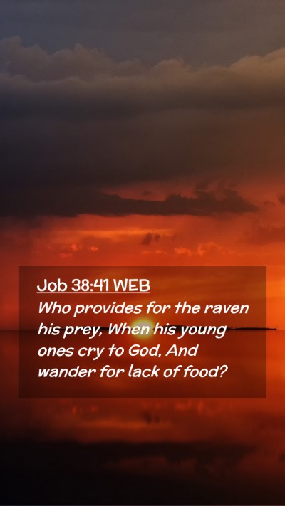 Picture 02 - Job 38:41 WEB Mobile Phone Wallpaper - Who provides for the raven his prey, When his - Mobile Bible Verse Wallpaper