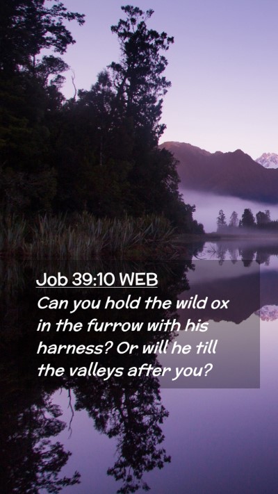 Picture 02 - Job 39:10 WEB Mobile Phone Wallpaper - Can you hold the wild ox in the furrow with his - Mobile Bible Verse Wallpaper
