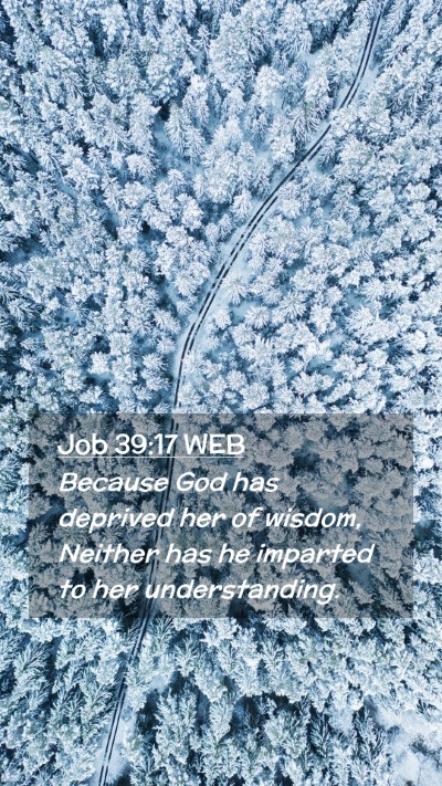 Picture 02 - Job 39:17 WEB Mobile Phone Wallpaper - Because God has deprived her of wisdom, Neither - Mobile Bible Verse Wallpaper