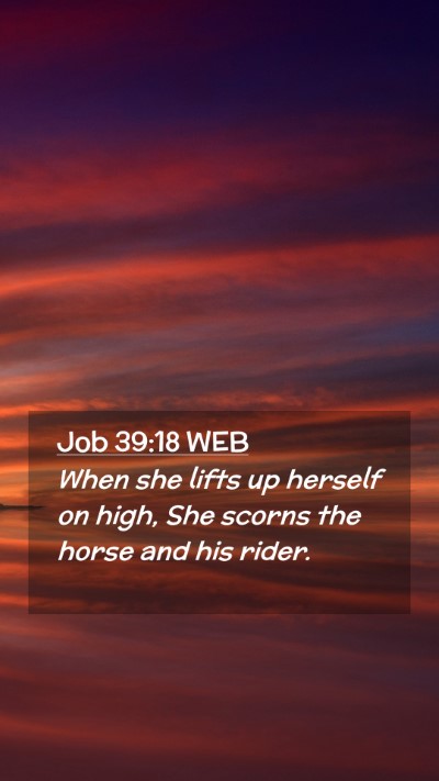 Picture 02 - Job 39:18 WEB Mobile Phone Wallpaper - When she lifts up herself on high, She scorns the - Mobile Bible Verse Wallpaper