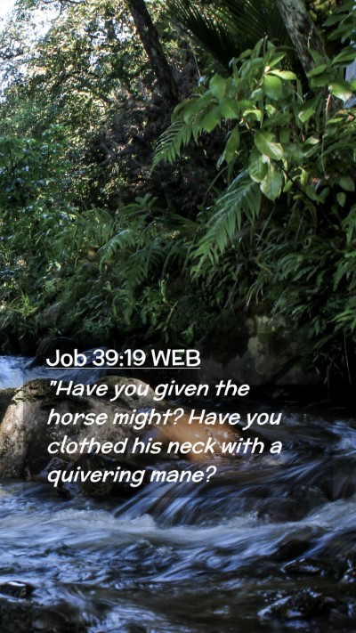 Picture 02 - Job 39:19 WEB Mobile Phone Wallpaper - 