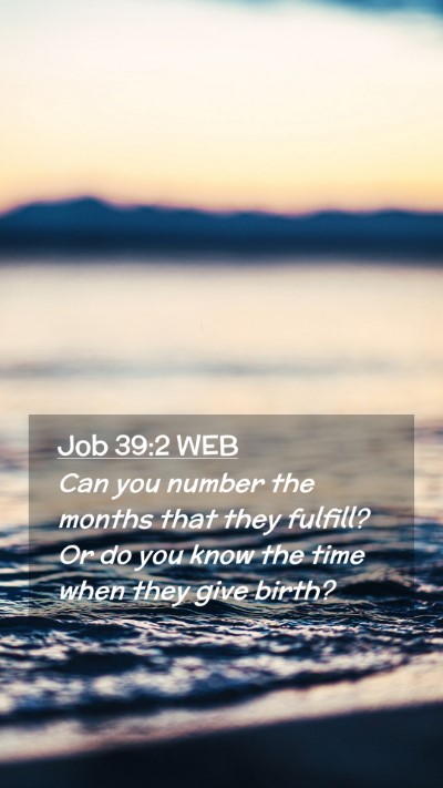 Picture 02 - Job 39:2 WEB Mobile Phone Wallpaper - Can you number the months that they fulfill? Or - Mobile Bible Verse Wallpaper